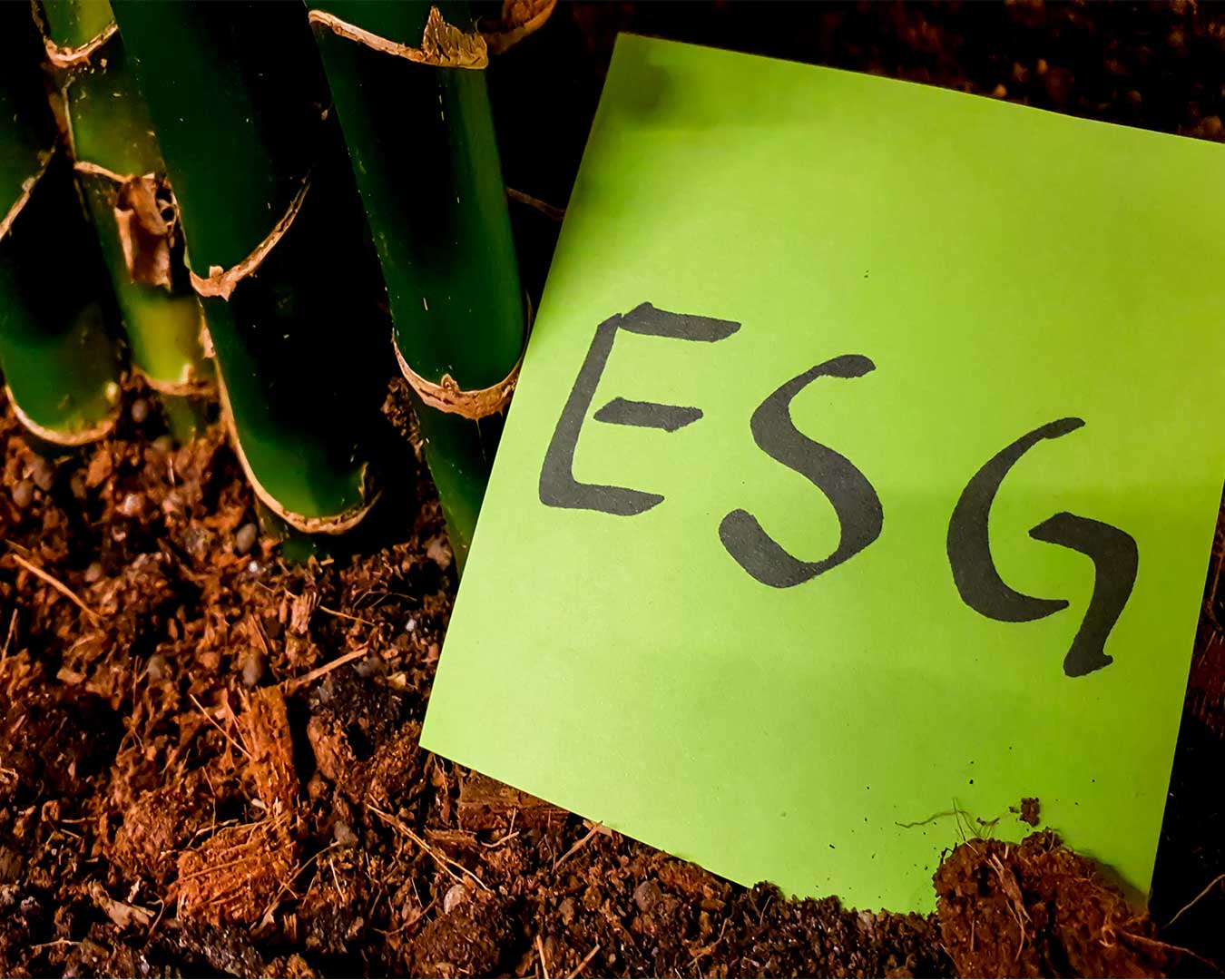 ESG